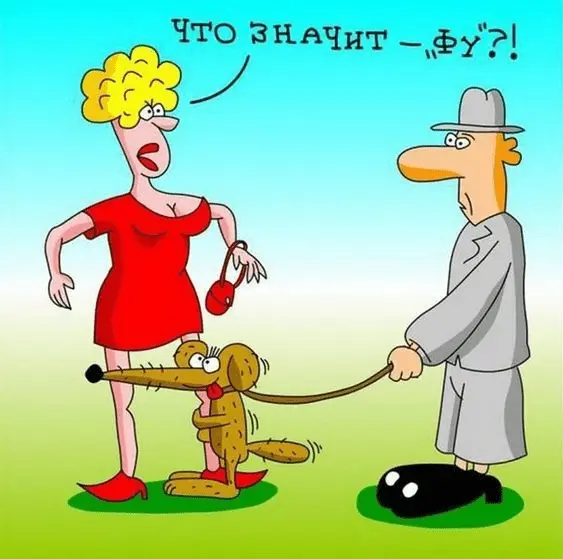 1687349006449.webp