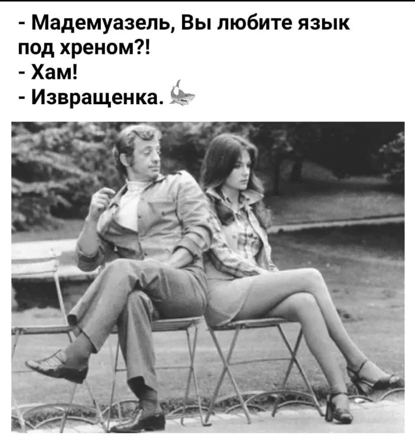 1687862485365.webp