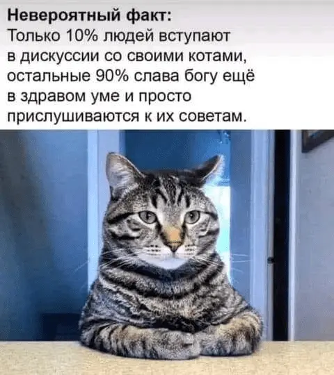 1687866074354.webp