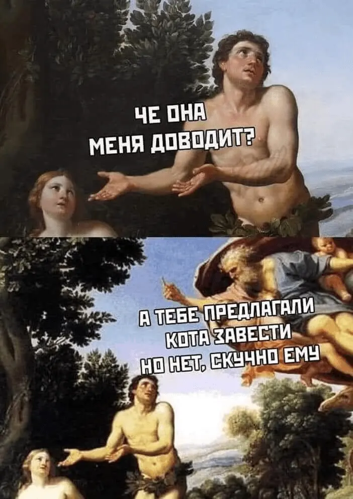 1687943816098.webp