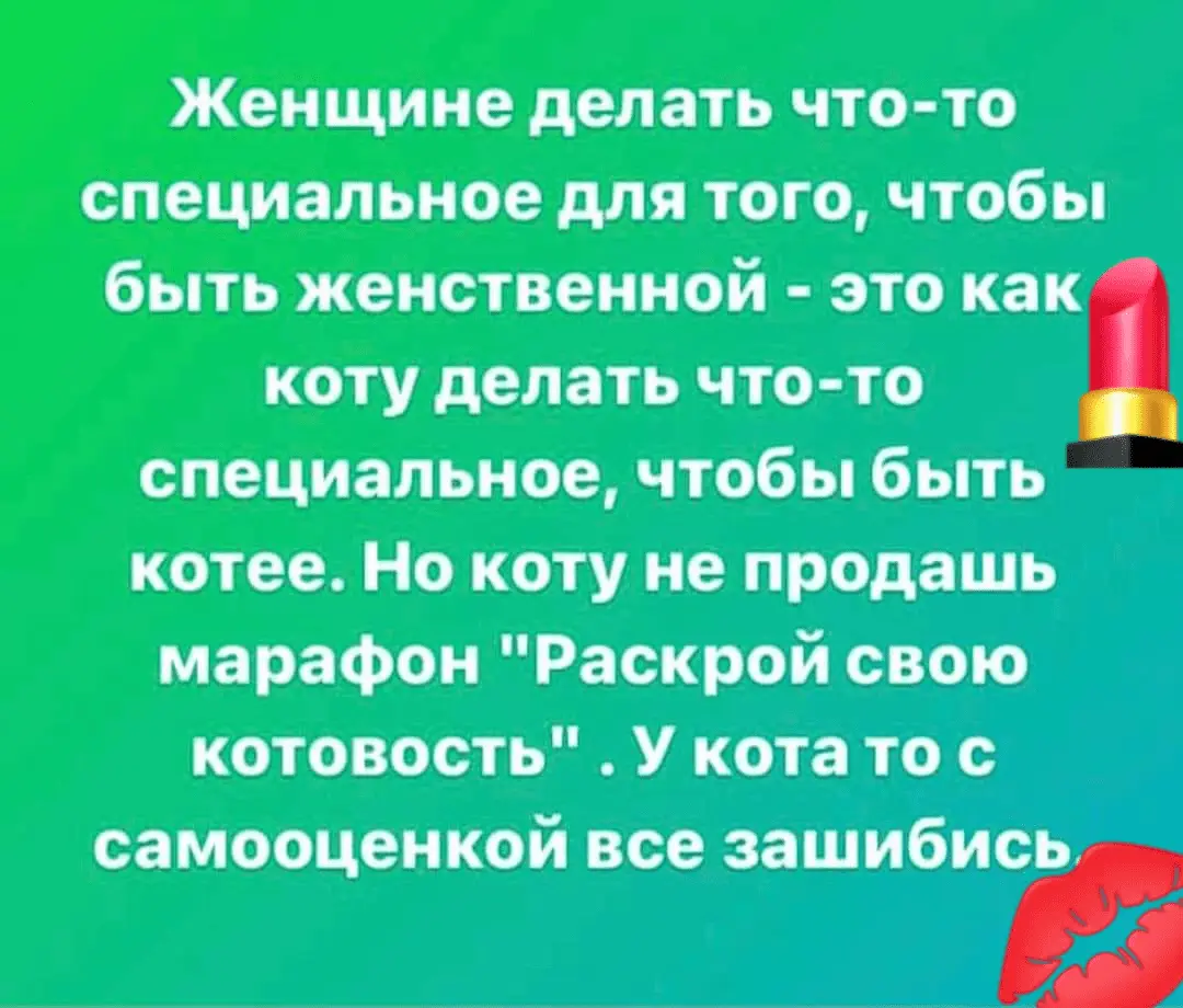 1688012871261.webp