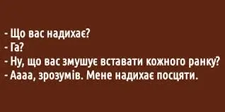 1688063145829.webp