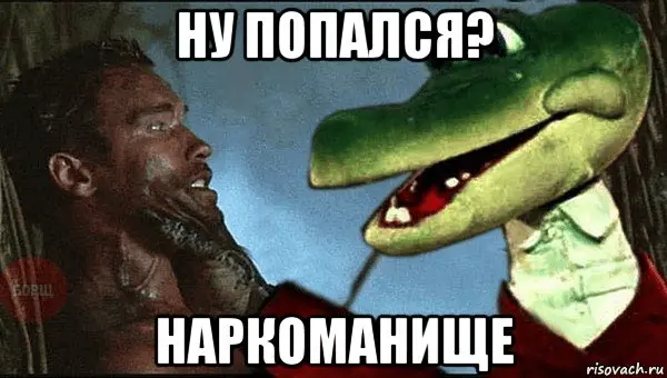 1688064607525.webp