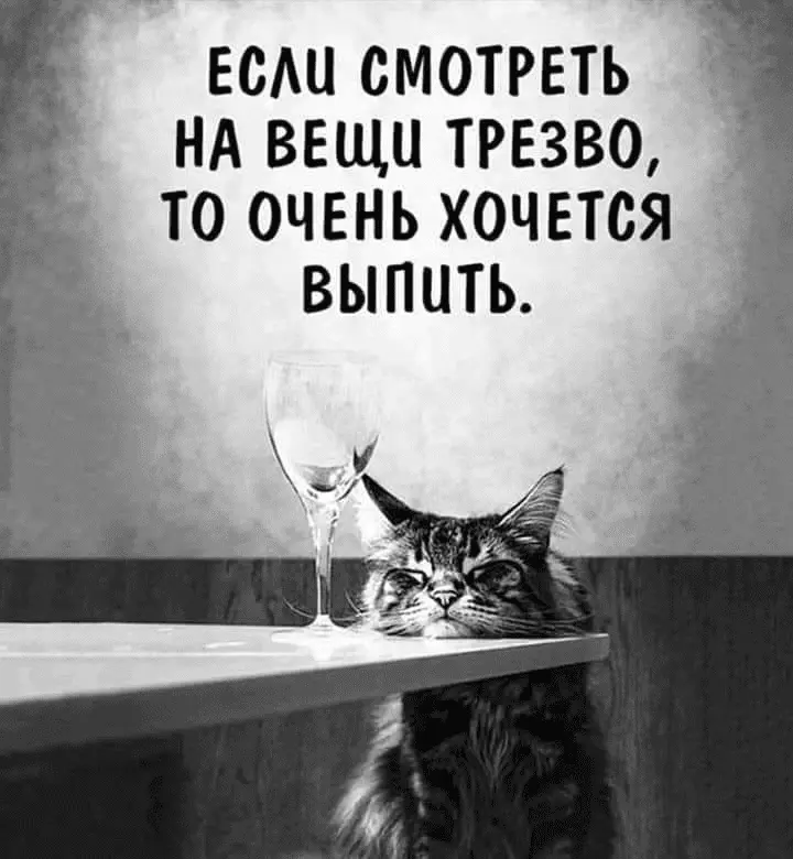 1688109323381.webp