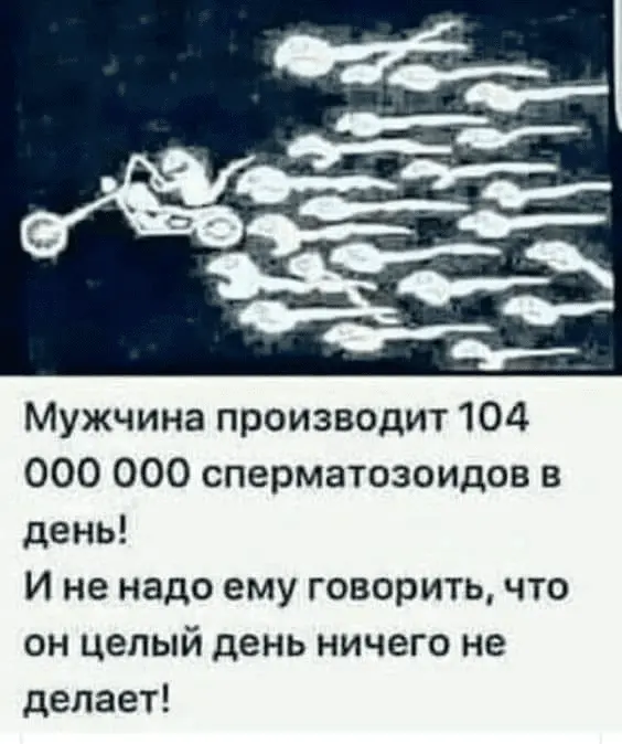 1688445163646.webp