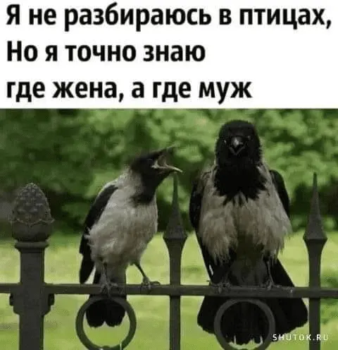 1688562213410.webp