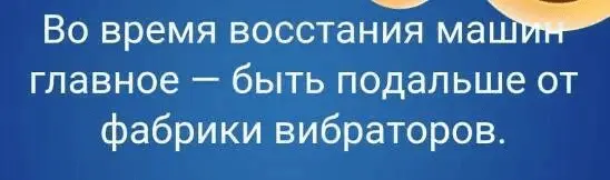 1688736339116.webp