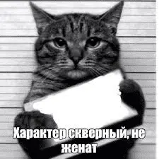 1688798634534.webp