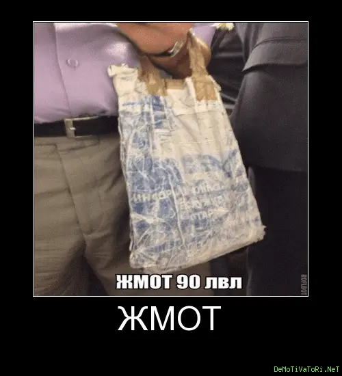 1689000808132.webp