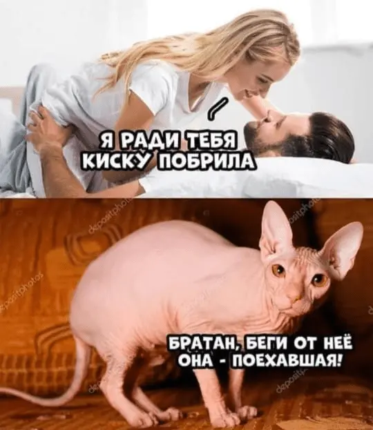 1689074107565.webp