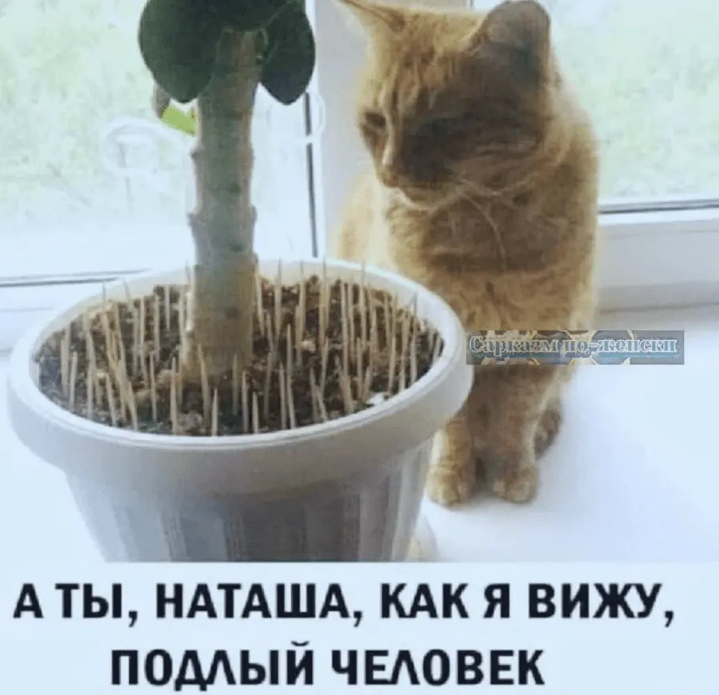 1689618127895.webp