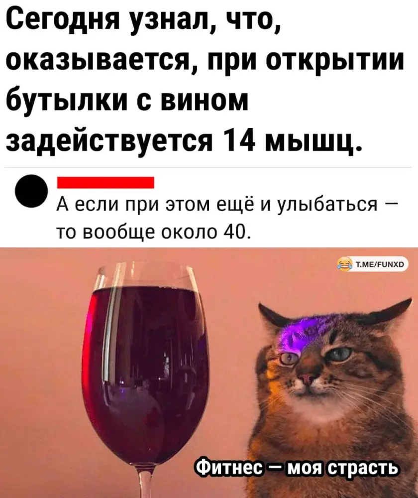1689709865345.webp
