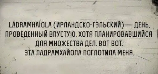 16938883_1245031868908156_725667597098656454_n.jpg