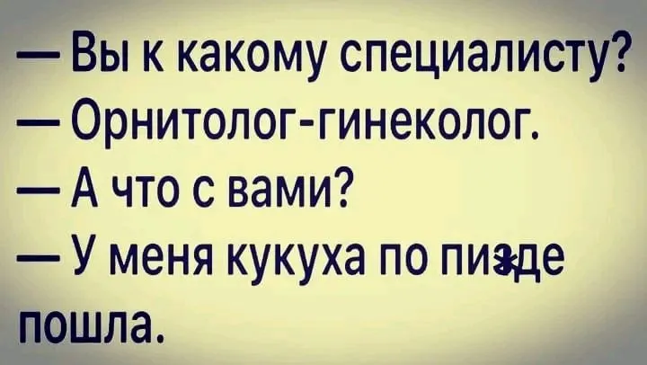 1704841459341.webp