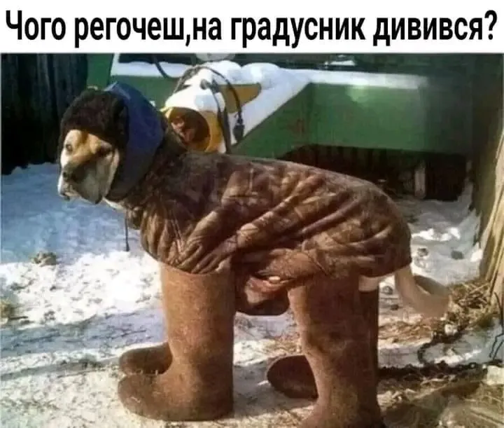 1704860879044.webp