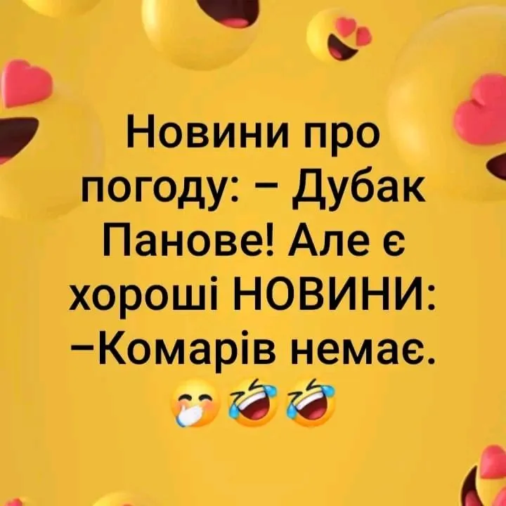 1704964615385.webp