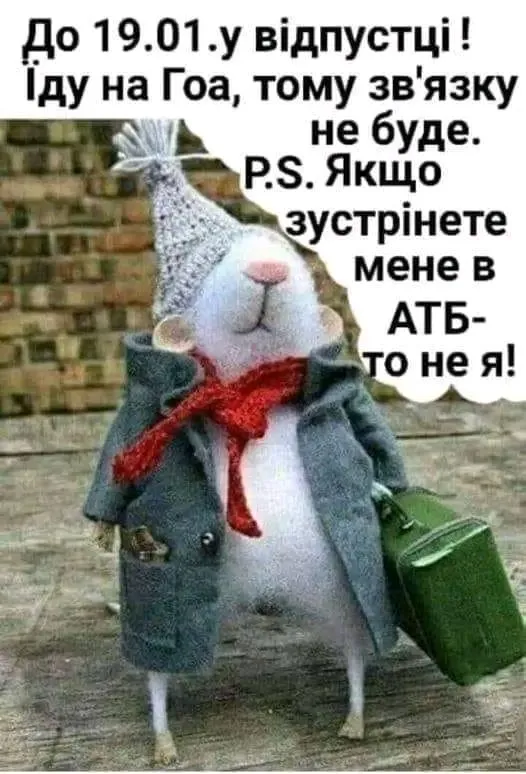 1705058054960.webp