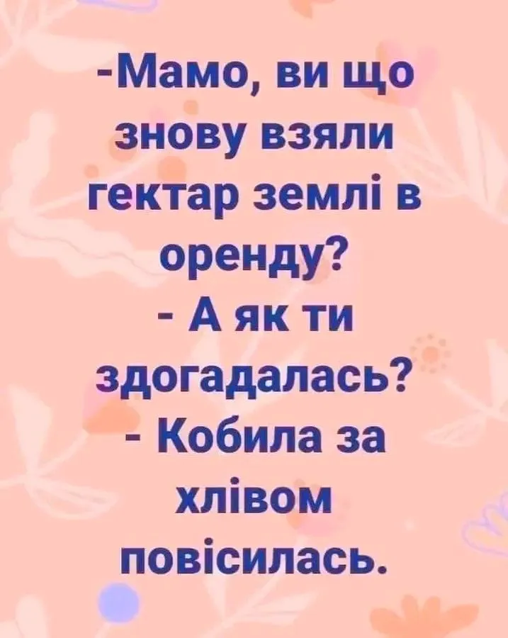 1705137055562.webp