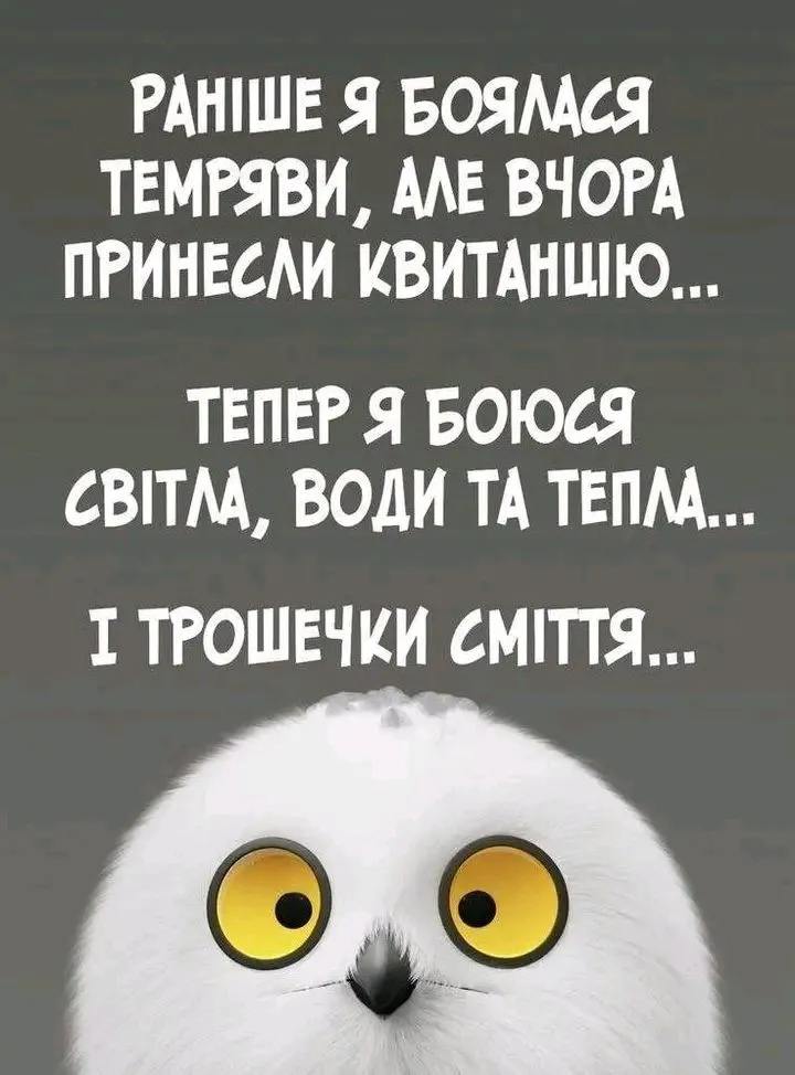 1705221706884.webp