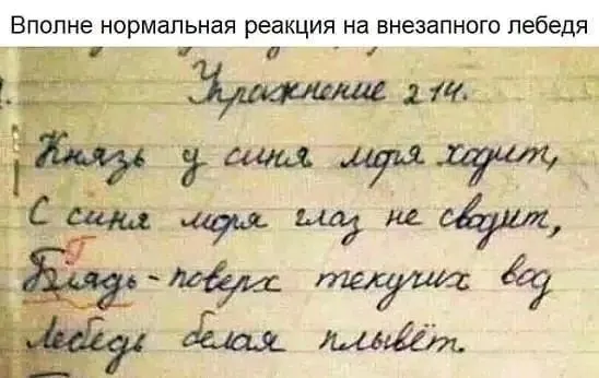 1705298832476.webp