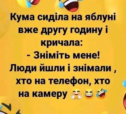 1705377020887.webp