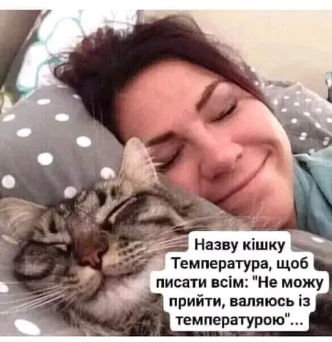 1705386057755.webp