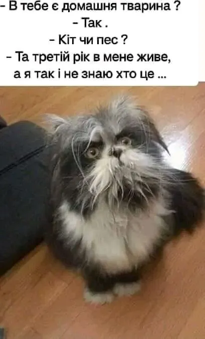 1705395808305.webp