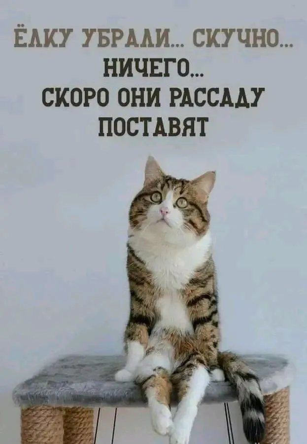 1705404161507.webp
