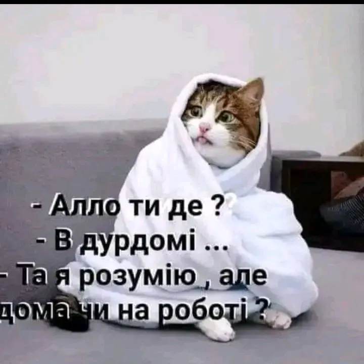 1705477237778.webp