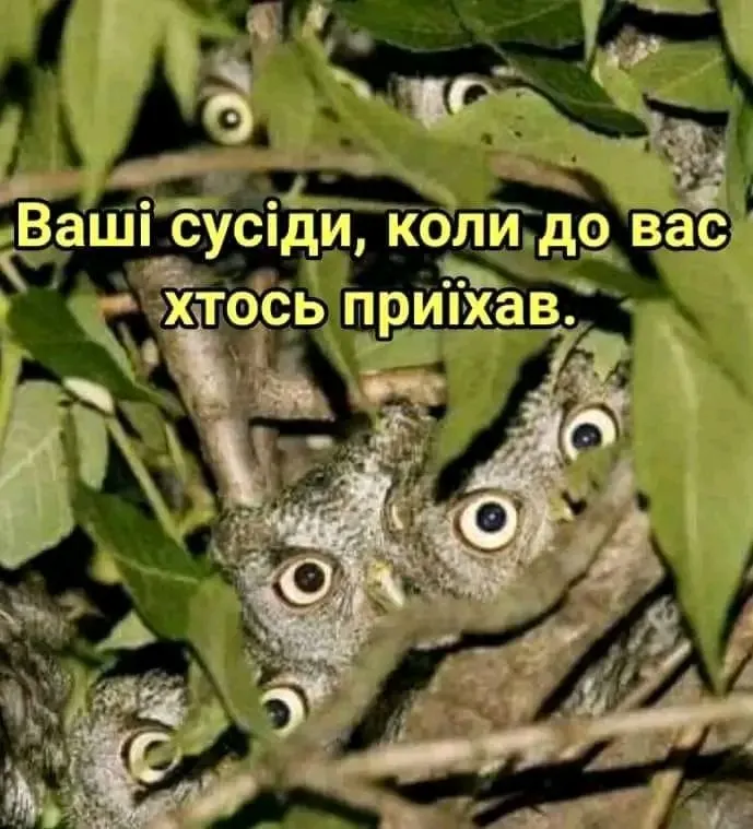 1705490944066.webp