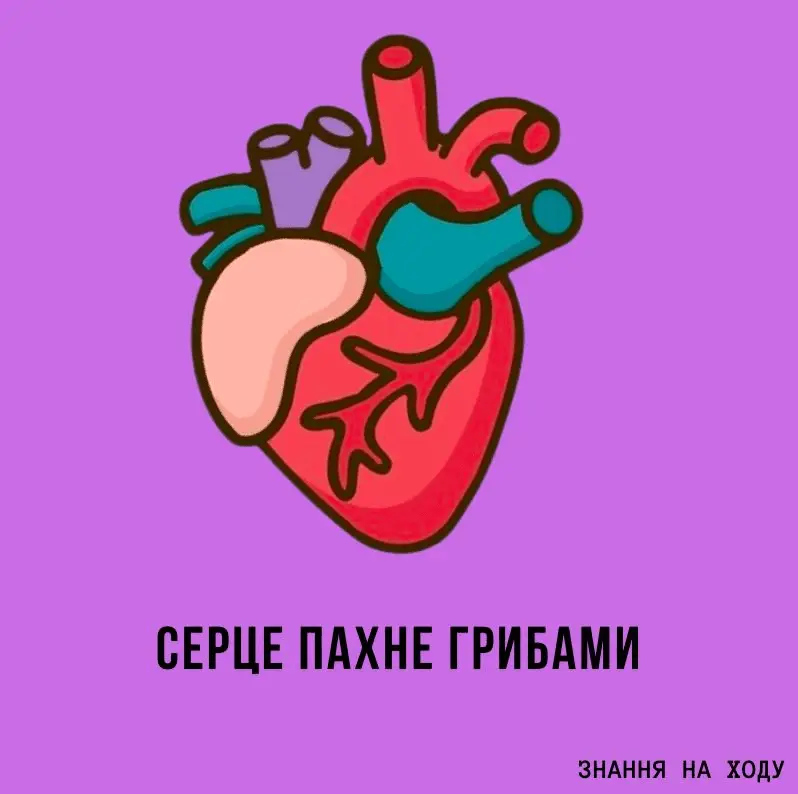 1705523246827.webp