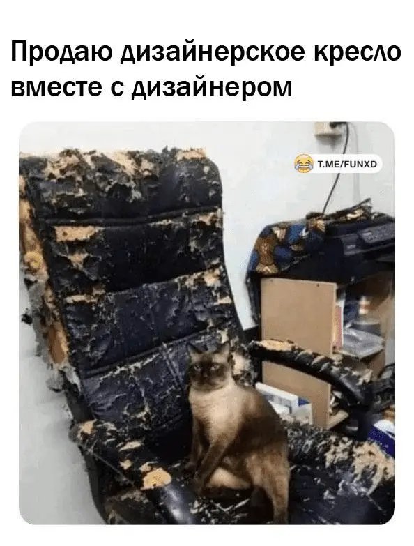 1705565450047.webp
