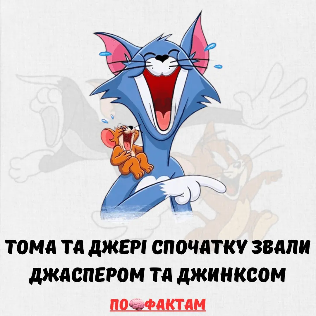 1705577314245.webp