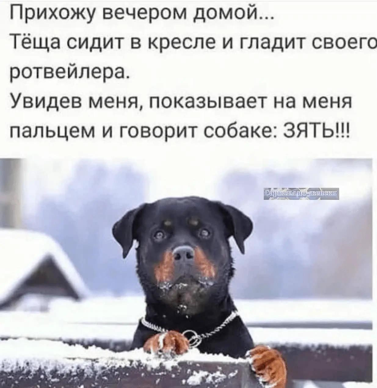 1705600690083.webp