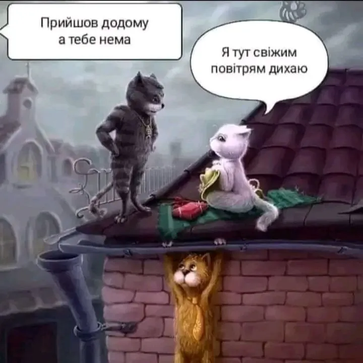 1705677419812.webp