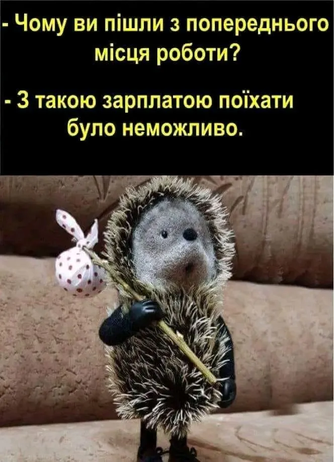 1705731148358.webp