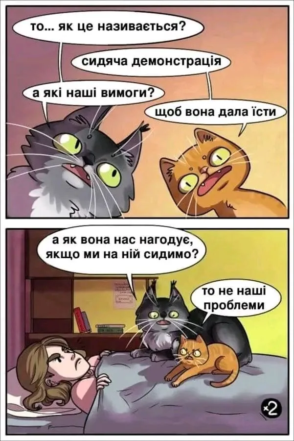 1705870955493.webp
