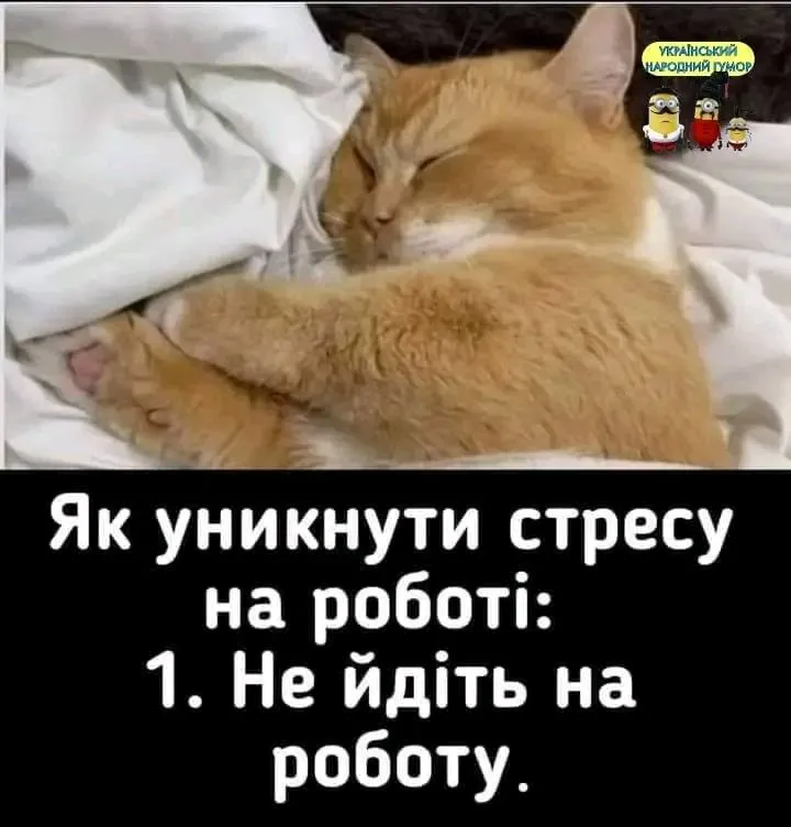 1705899721647.webp