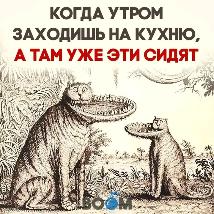 1706019086337.webp