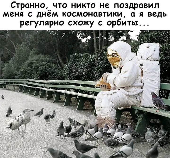 1706260378488.webp