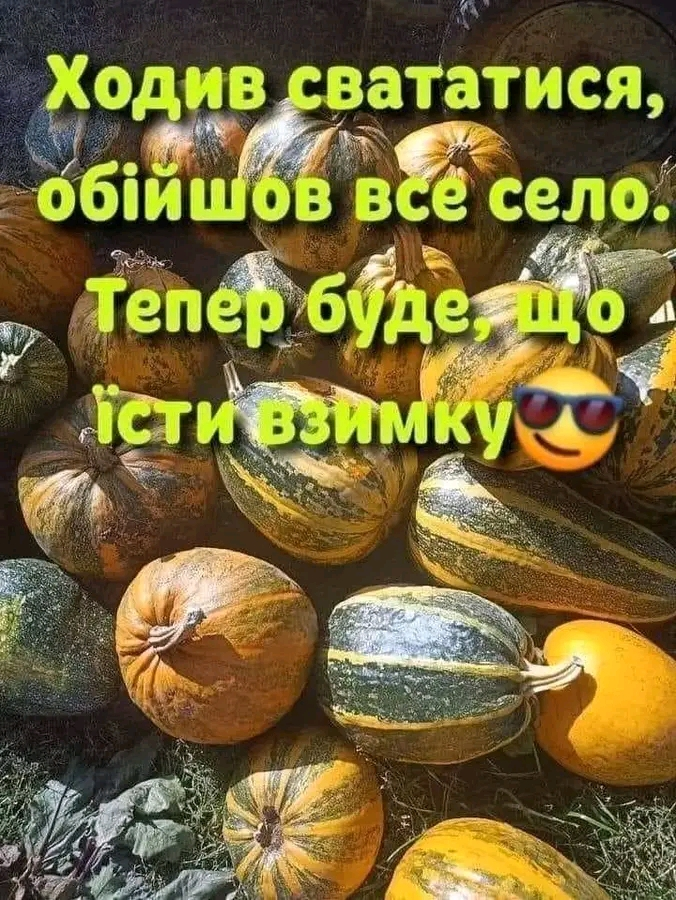 1706339506025.webp