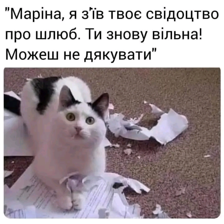 1706349837365.webp