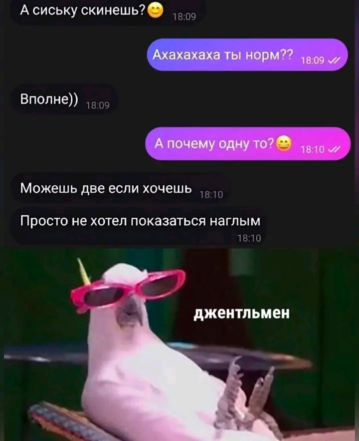 1706460776271.webp