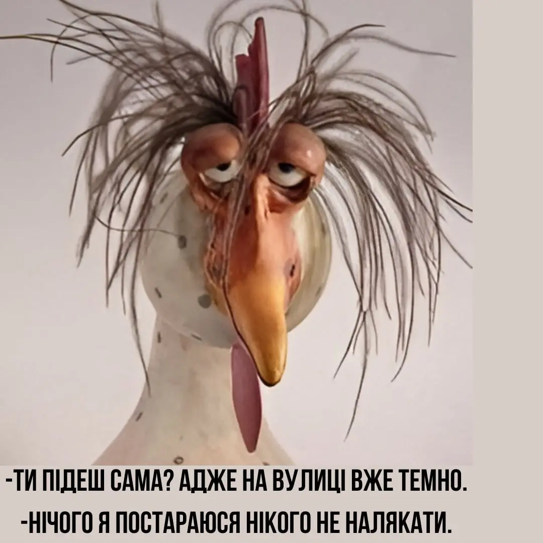 1706467254655.webp