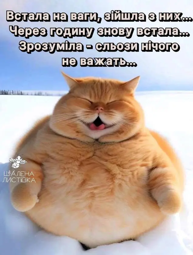 1706469030320.webp