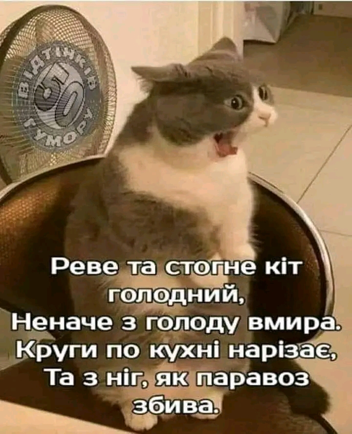 1706474195946.webp