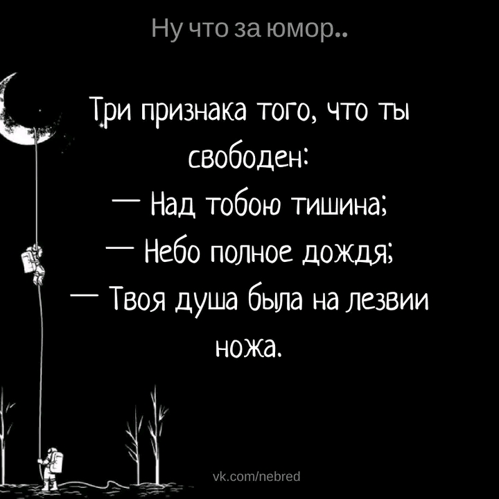 1706509539899.webp