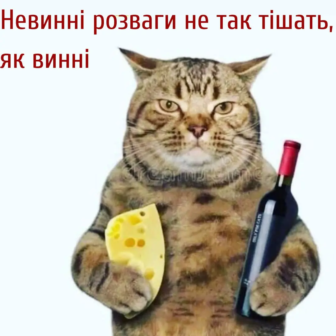 1706537514558.webp