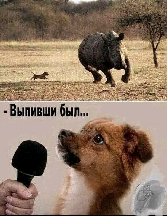 1706557654783.webp