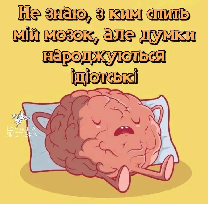 1706558441261.webp